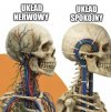 Wszechpotężna trytytka 