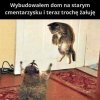 Matko, co tam się dzieje