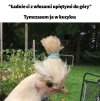 Kiedy fryzura mówi więcej niż słowa