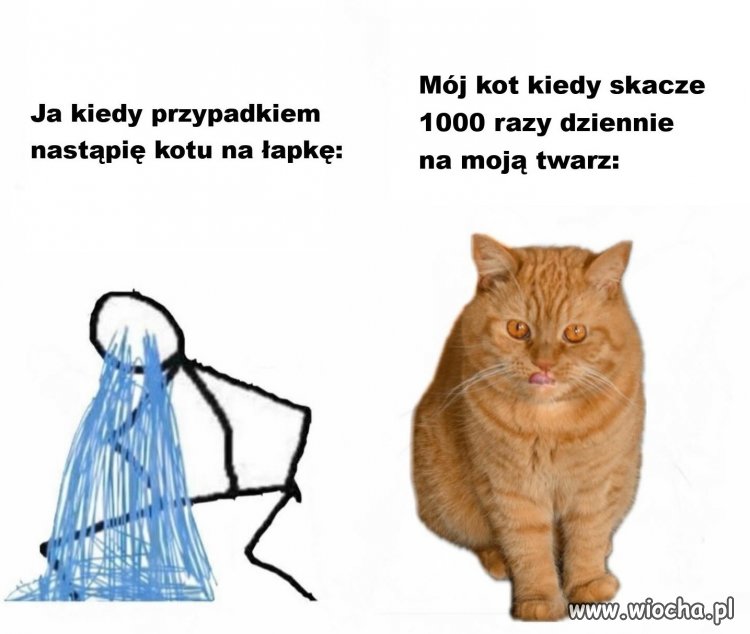 Dokładnie tak jest
