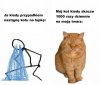 Dokładnie tak jest