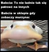 Bez polityki 