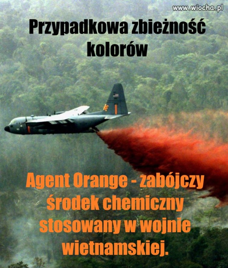 Dawniej "Agent Orange" - teraz "Prezydent Orange".
