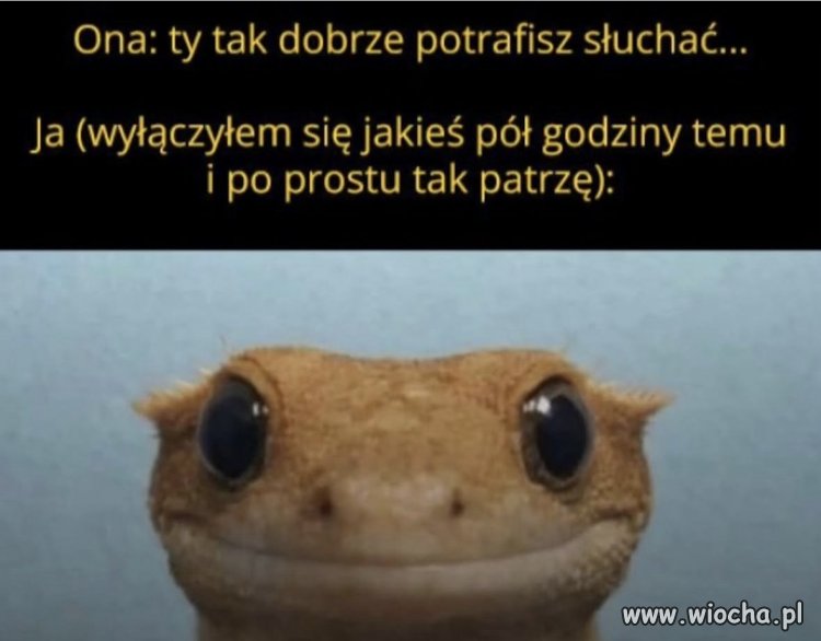 Kto potrzebuje uszu?