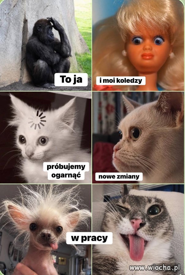 Nie wiem, nie znam się