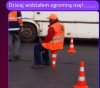 Od razu widać, że to osa