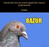Bążur