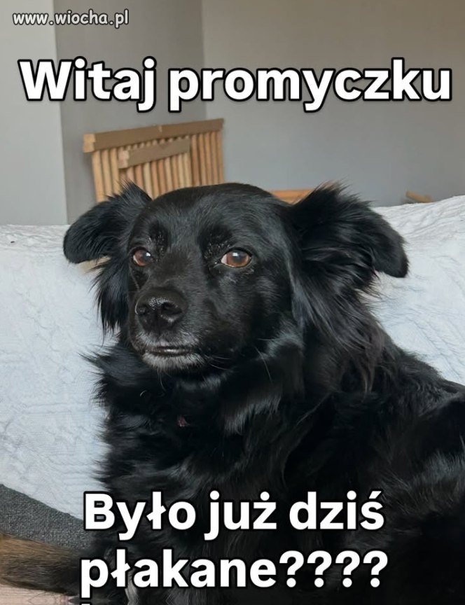 Było już płakane?