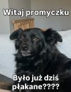 Było już płakane?