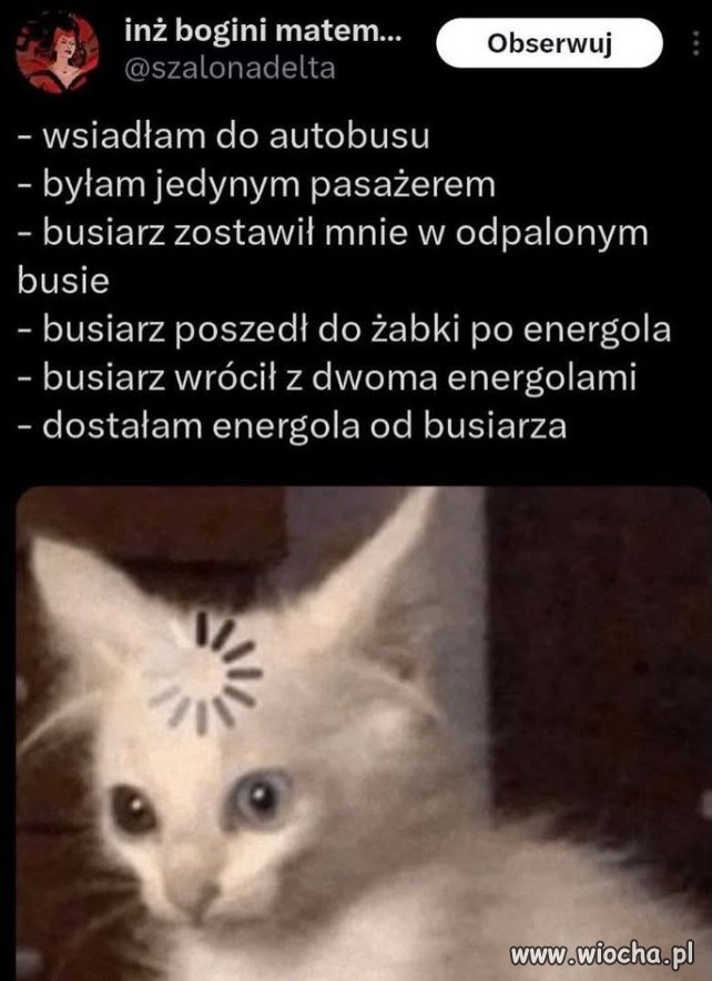 Typowy poranek