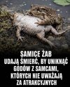 Jak nie dać się złapać na randkę