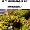 Te drinki to w ogóle alkoholu nie mają