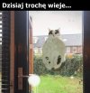 Wieje, wieje, wieje