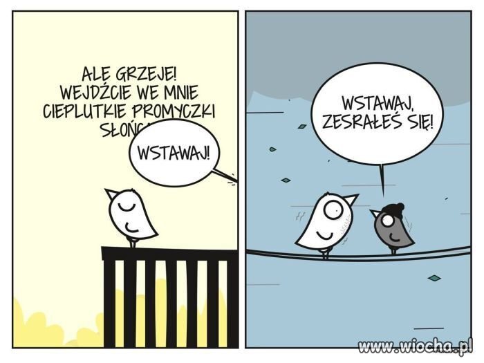 Wiosna, wiosna 