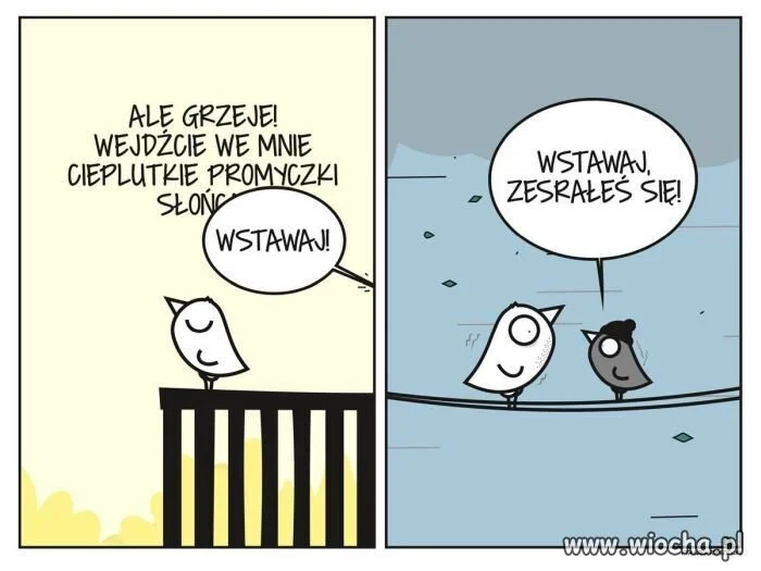 Wiosna, wiosna 