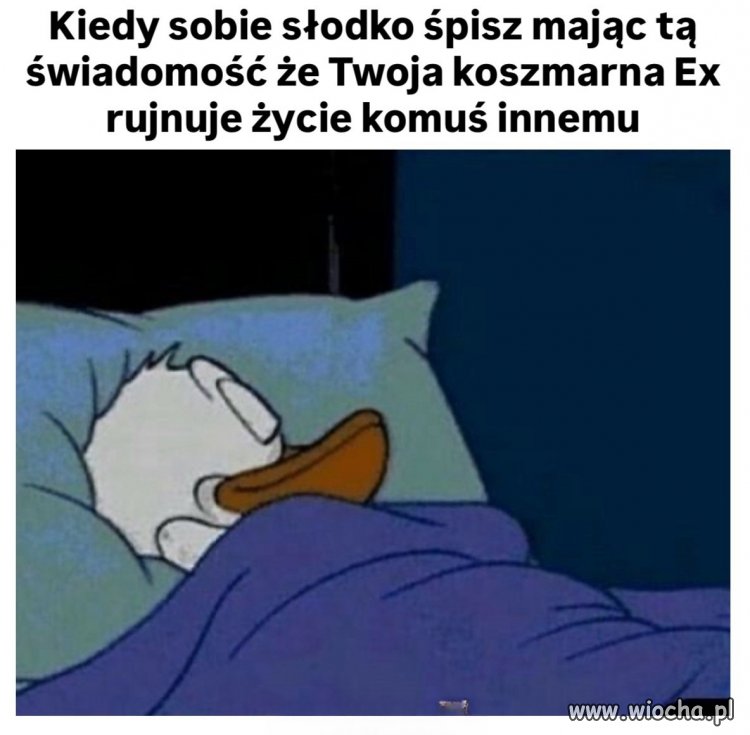 W końcu śpię w spokoju
