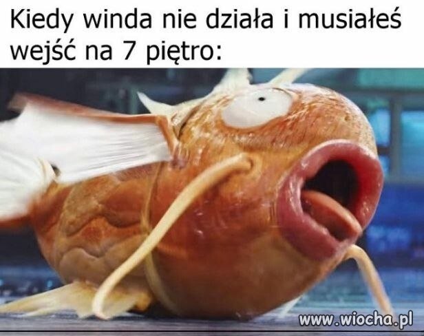 Wchodzenie na 7 piętro