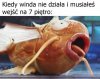 Wchodzenie na 7 piętro
