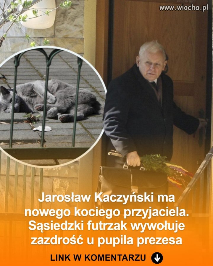Kot prezesa jest zazdrosny