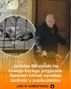 Kot prezesa jest zazdrosny
