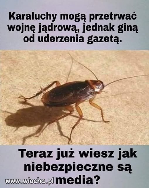 Nie do wszystkich niestety to dotarło.