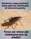 Nie do wszystkich niestety to dotarło.