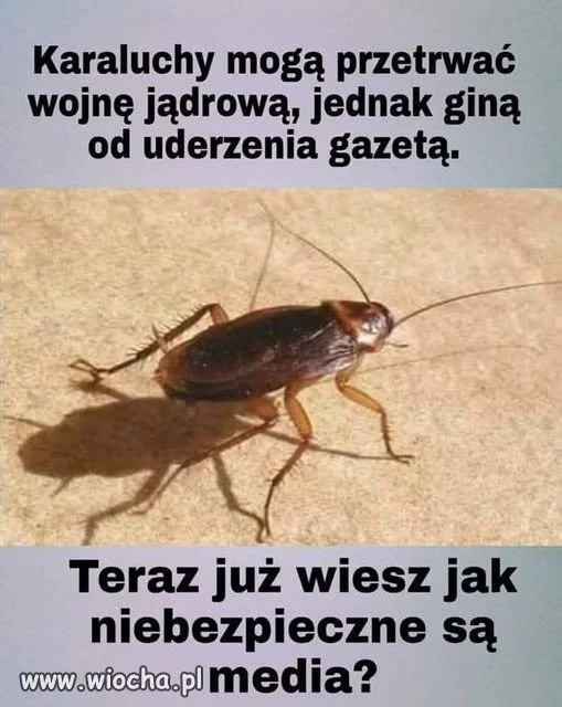 Nie do wszystkich niestety to dotarło.