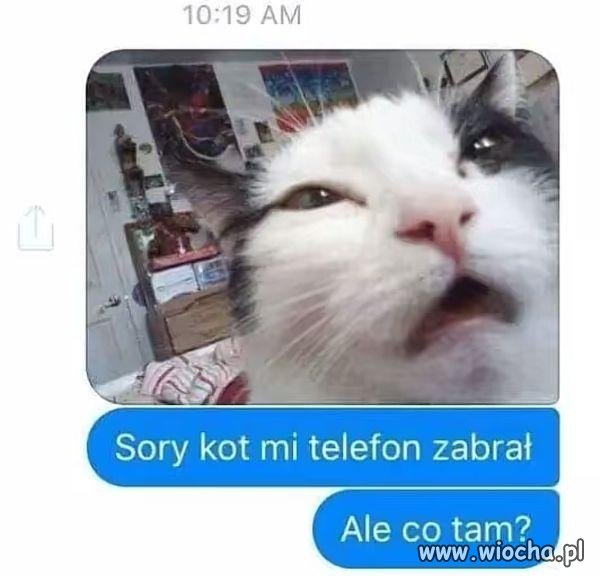 Sorry kot mi telefon zabrał