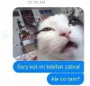 Sorry kot mi telefon zabrał