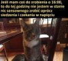 Nie mam pojęcia jak inni funkcjonują