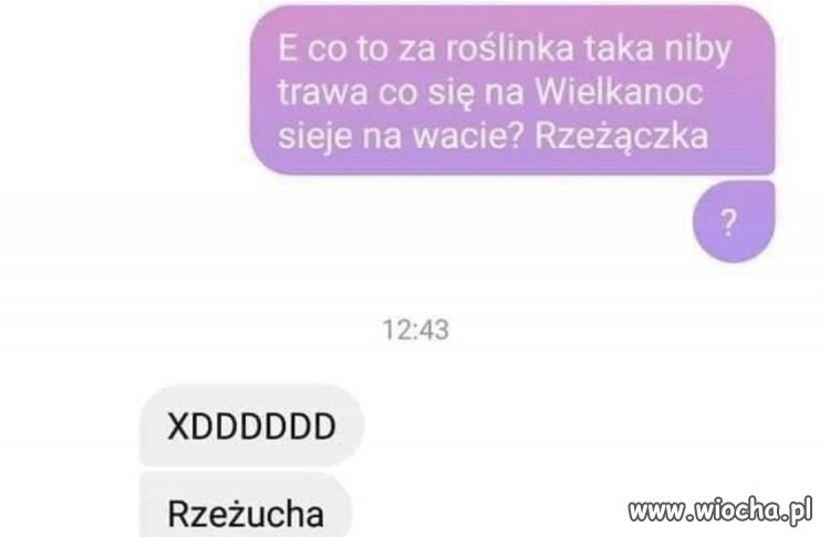 Rzeżączka czy rzeżucha
