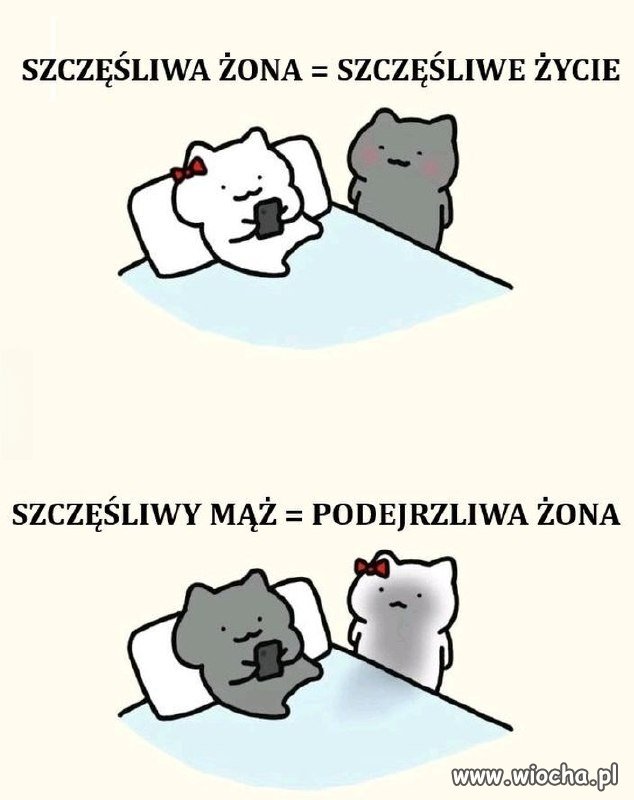 Coś w tym jest