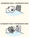 Coś w tym jest