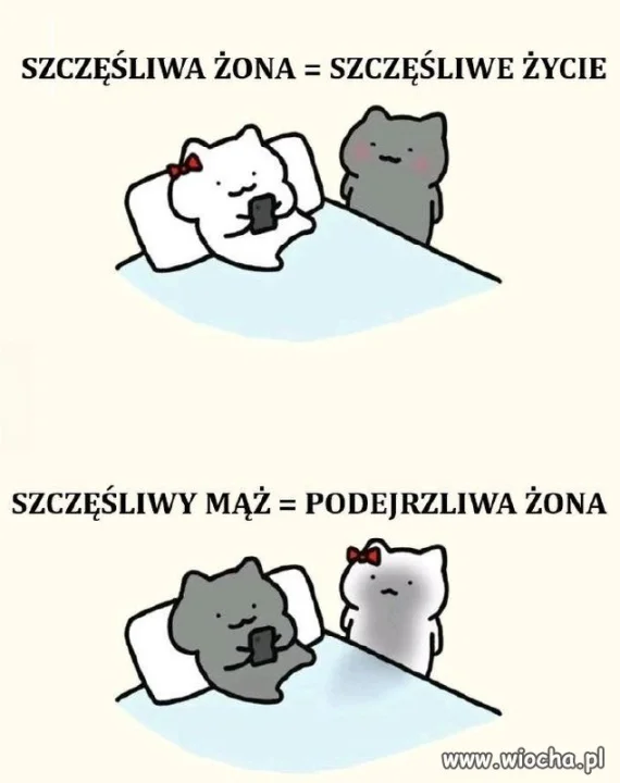 Coś w tym jest