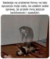 Miał być sześciopak