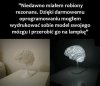 No spoko wygląda