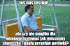 Kiedy wyjdzie słoneczko?