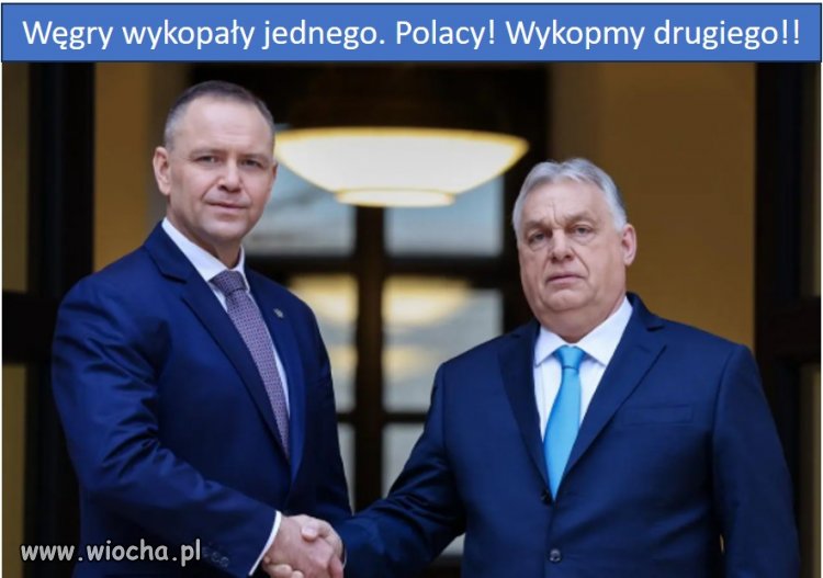 Polacy, wypieprzyć kumpla Orbana, Putina i Trumpa