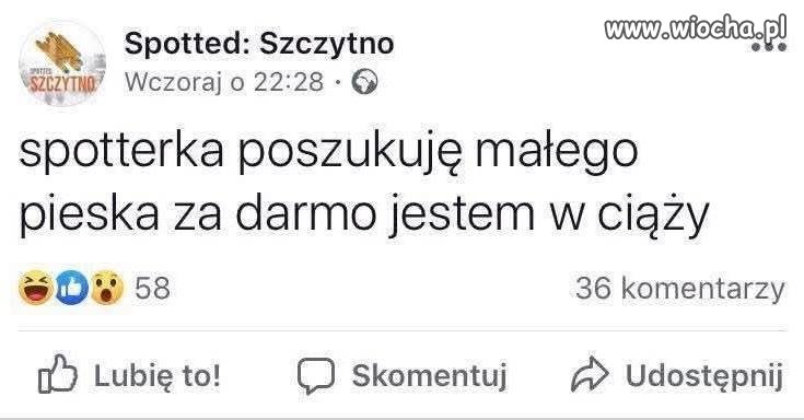 Poszukuję małego pieska za darmo
