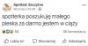 Poszukuję małego pieska za darmo