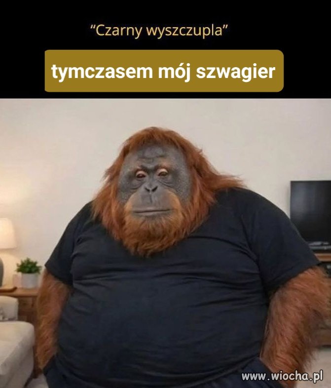 Każdy takiego szwagra w rodzinie ma