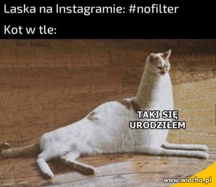 Naturalna piękność