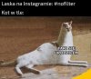 Naturalna piękność