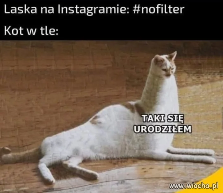 Naturalna piękność