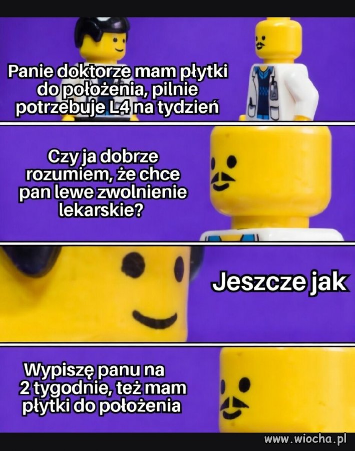 Świetnie się składa
