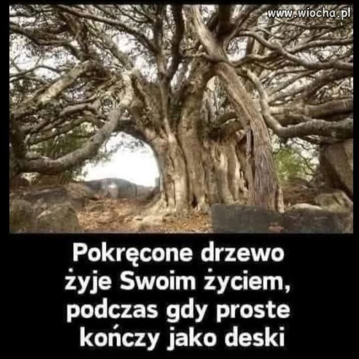 Jak życie to w pokręceniu