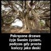 Jak życie to w pokręceniu