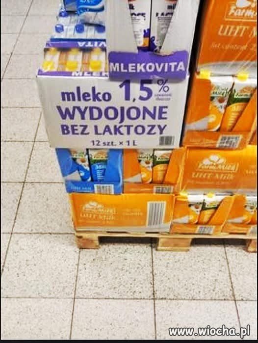 Mleko wydojone bez laktozy