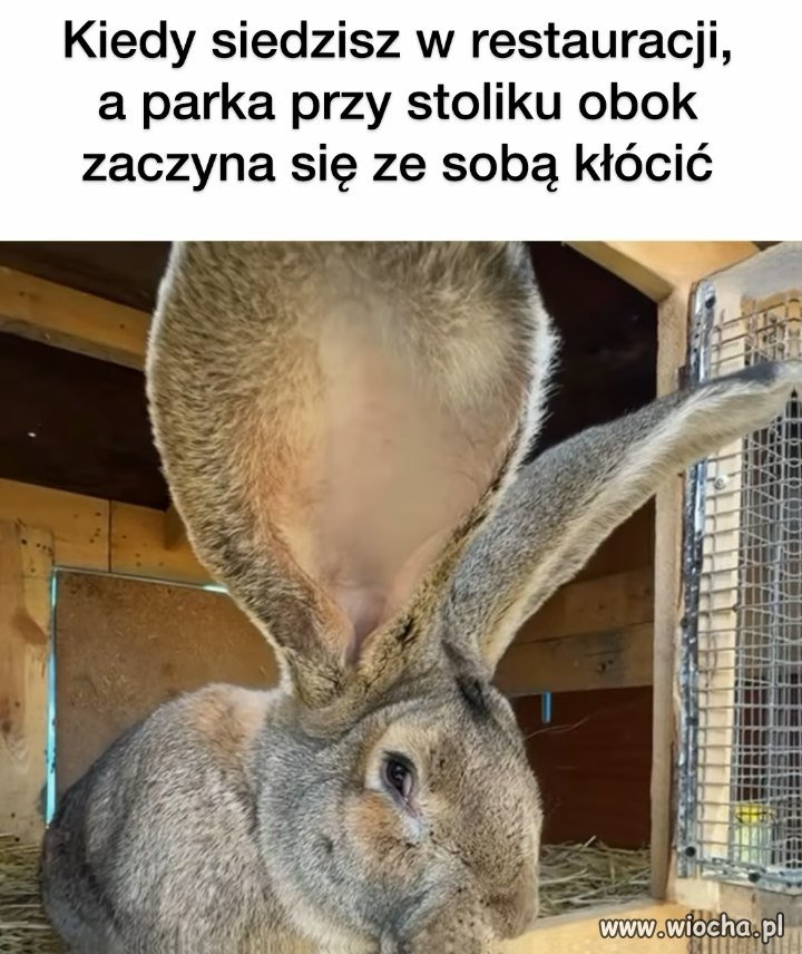 Ja: nie interesują mnie dramy