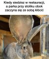 Ja: nie interesują mnie dramy